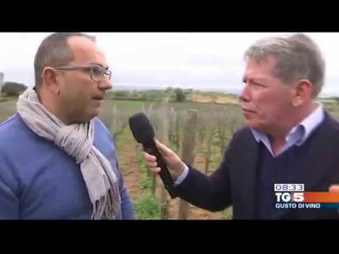 Gianfranco Daino e vino Suber su TG5