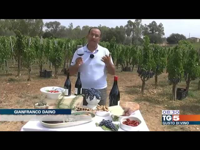 Vino Suber su TG5 : vendemmia 2016